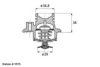WAHLER 411579.92D Thermostat, coolant